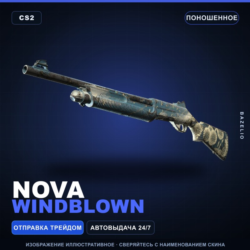 Nova | Windblown | Поношенное · Скин Counter-Strike 2