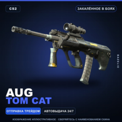 AUG | Tom Cat | Закалённое в боях · Скин Counter-Strike 2