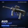 AUG | Tom Cat | Закалённое в боях · Скин Counter-Strike 2