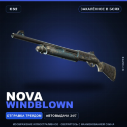 Nova | Windblown | Закалённое в боях · Скин Counter-Strike 2