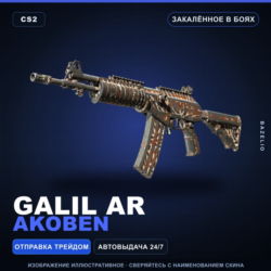 Galil AR | Akoben | Закалённое в боях · Скин Counter-Strike 2