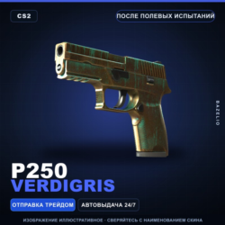 P250 | Verdigris | После полевых испытаний · Скин Counter-Strike 2