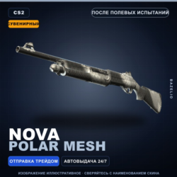Сувенирный Nova | Polar Mesh | После полевых испытаний · Скин Counter-Strike 2