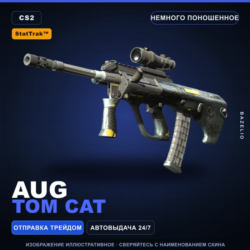StatTrak™ AUG | Tom Cat | Немного поношенное · Скин Counter-Strike 2