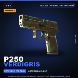 StatTrak™ P250 | Verdigris | После полевых испытаний · Скин Counter-Strike 2