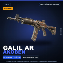 StatTrak™ Galil AR | Akoben | Закалённое в боях · Скин Counter-Strike 2