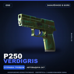 P250 | Verdigris | Закалённое в боях · Скин Counter-Strike 2