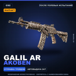 StatTrak™ Galil AR | Akoben | После полевых испытаний · Скин Counter-Strike 2