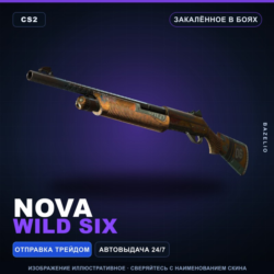 Nova | Wild Six | Закалённое в боях · Скин Counter-Strike 2