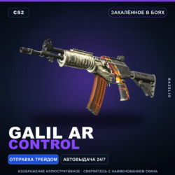 Galil AR | Control | Закалённое в боях · Скин Counter-Strike 2