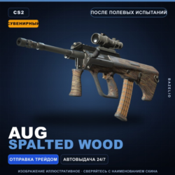 Сувенирный AUG | Spalted Wood | После полевых испытаний · Скин Counter-Strike 2