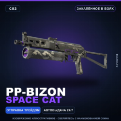 PP-Bizon | Space Cat | Закалённое в боях · Скин Counter-Strike 2