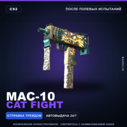 MAC-10 | Cat Fight | После полевых испытаний · Скин Counter-Strike 2