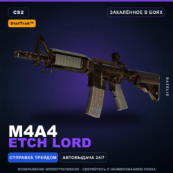 StatTrak™ M4A4 | Etch Lord | Закалённое в боях · Скин Counter-Strike 2