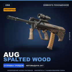 Сувенирный AUG | Spalted Wood | Немного поношенное · Скин Counter-Strike 2