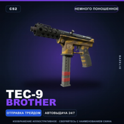 Tec-9 | Brother | Немного поношенное · Скин Counter-Strike 2