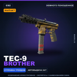 StatTrak™ Tec-9 | Brother | Немного поношенное · Скин Counter-Strike 2