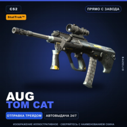 StatTrak™ AUG | Tom Cat | Прямо с завода · Скин Counter-Strike 2