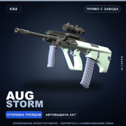 AUG | Storm | Прямо с завода · Скин Counter-Strike 2