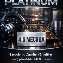 SPOTIFY PLATINUM 4.5 МЕСЯЦА НА ВАШ АККАУНТ