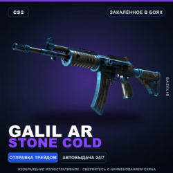 Galil AR | Stone Cold | Закалённое в боях · Скин Counter-Strike 2