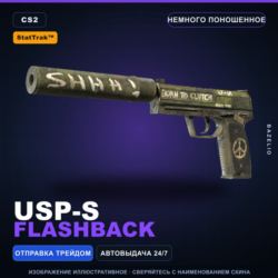 StatTrak™ USP-S | Flashback | Немного поношенное · Скин Counter-Strike 2