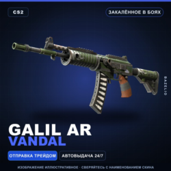 Galil AR | Vandal | Закалённое в боях · Скин Counter-Strike 2