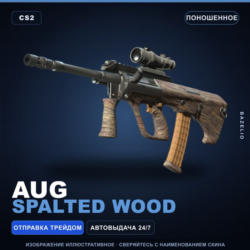 AUG | Spalted Wood | Поношенное · Скин Counter-Strike 2