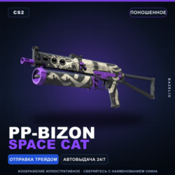 PP-Bizon | Space Cat | Поношенное · Скин Counter-Strike 2