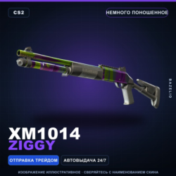 XM1014 | Ziggy | Немного поношенное · Скин Counter-Strike 2