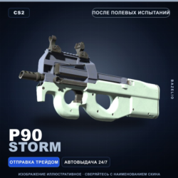 P90 | Storm | После полевых испытаний · Скин Counter-Strike 2