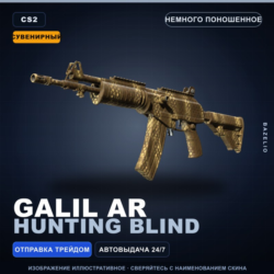 Сувенирный Galil AR | Hunting Blind | Немного поношенное · Скин Counter-Strike 2