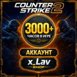 CS 2 Аккаунт 3000  часов  СМЕНА ДАННЫХ・