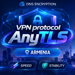 VPN Армения (anytls / TCP) · 1-6m · DNS DoH