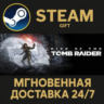 Rise of the Tomb Raider: 20 Year Celebration РОССИЯ RU Steam Gift СТИМ ГИФТ ПК