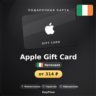 Apple Gift Card (Ирландия, EUR) · 2–100