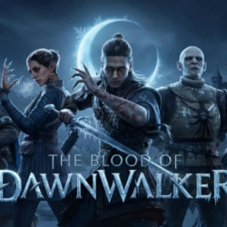 🎀The Blood of Dawnwalker (Xbox) Игры общий