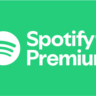 Spotify Premium 12 месяцев