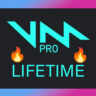 Voicemod PRO 2 года, глобальная гарантия на аккаунт