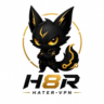 HATER VPN подписка на 30 дней до 7 устройств