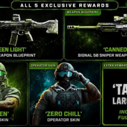 НАБОР CoD MODERN WARFARE 4 / 5 СКИНОВ / MONSTER ENERGY MW4 BUNDLE 2026