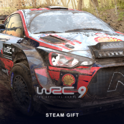 WRC 9 FIA World Rally Championship (Steam Gift) · РФ и мир · Автовыдача 24/7