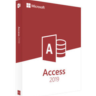 Access 2019 _ Global