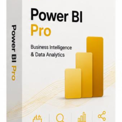 Power BI Pro 100 User  1 Year (Pre-Owned) _ Global