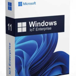 Windows 11 Enterprise IOT  (OEM) _ Global