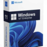 Windows 11 Enterprise IOT  (OEM) _ Global