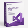 Visual Studio 2019 Professional _ Global