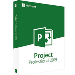 Project 2019 Standard _ Global