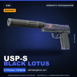 StatTrak™ USP-S | Black Lotus | Немного поношенное · Скин Counter-Strike 2