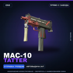 MAC-10 | Tatter | Прямо с завода · Скин Counter-Strike 2